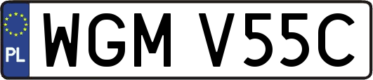 WGMV55C