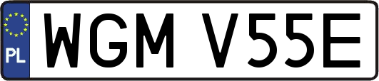 WGMV55E