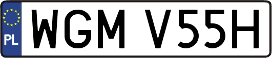 WGMV55H