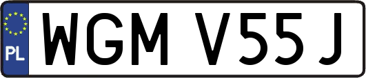 WGMV55J