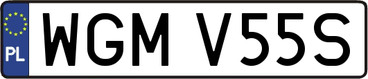 WGMV55S