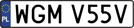 WGMV55V