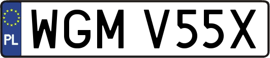 WGMV55X