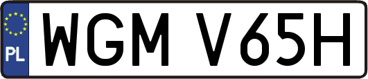 WGMV65H