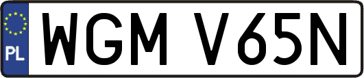 WGMV65N