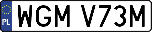 WGMV73M