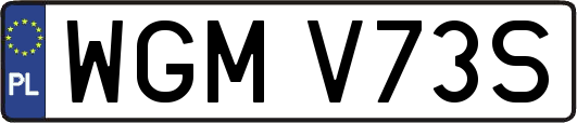 WGMV73S