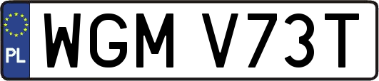WGMV73T