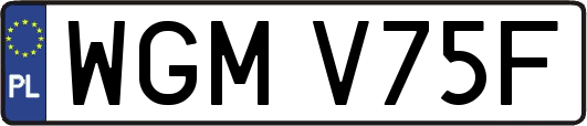 WGMV75F