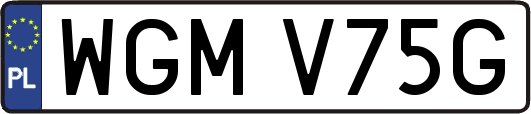 WGMV75G