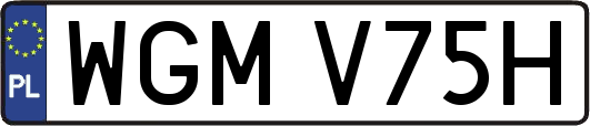WGMV75H
