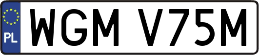 WGMV75M