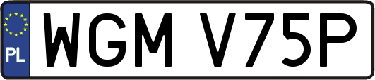 WGMV75P