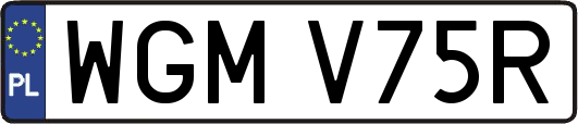 WGMV75R