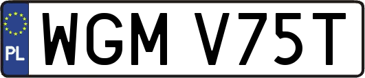 WGMV75T