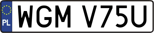 WGMV75U