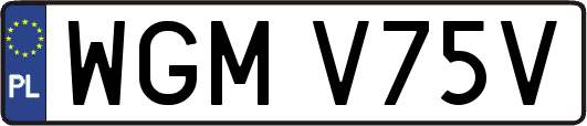 WGMV75V