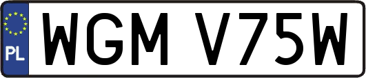 WGMV75W