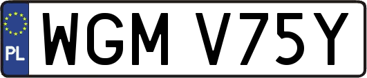 WGMV75Y