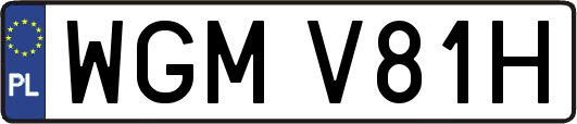 WGMV81H