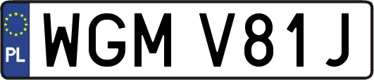 WGMV81J