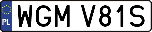 WGMV81S