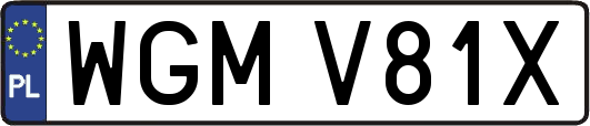 WGMV81X