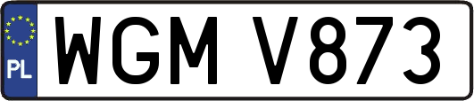 WGMV873