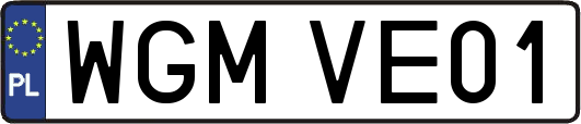 WGMVE01