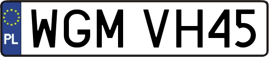 WGMVH45