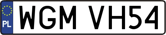 WGMVH54