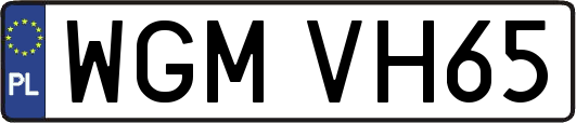 WGMVH65