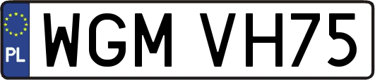 WGMVH75