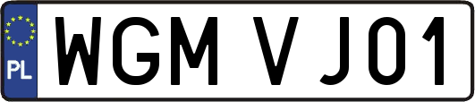 WGMVJ01