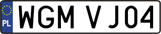 WGMVJ04