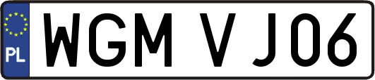 WGMVJ06