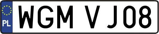 WGMVJ08