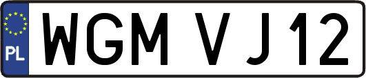 WGMVJ12