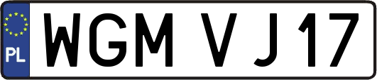 WGMVJ17
