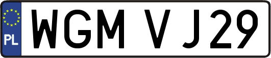 WGMVJ29