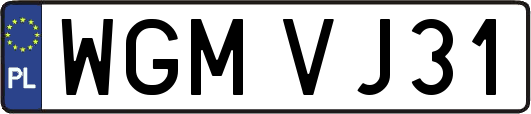 WGMVJ31
