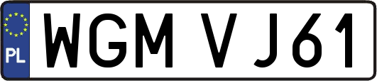 WGMVJ61
