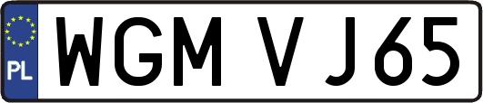 WGMVJ65
