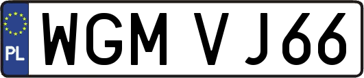 WGMVJ66