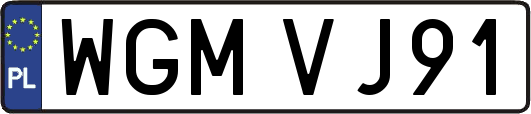 WGMVJ91