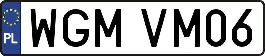 WGMVM06