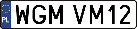 WGMVM12
