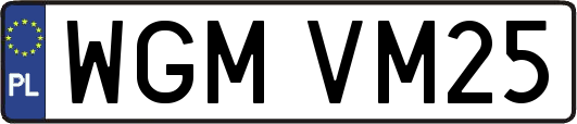WGMVM25