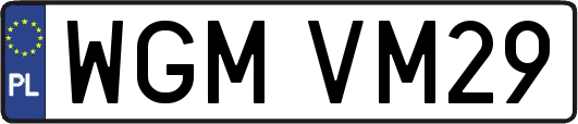 WGMVM29