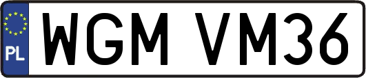 WGMVM36
